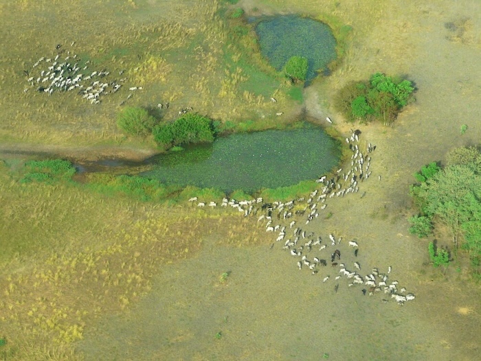 1 site 0475 0011 1000 751 20151104163456