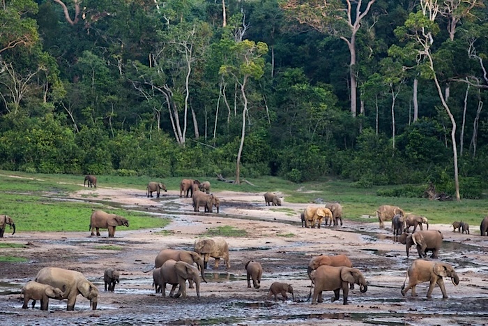 5 g2fyxzgk1hldkng9d0ad