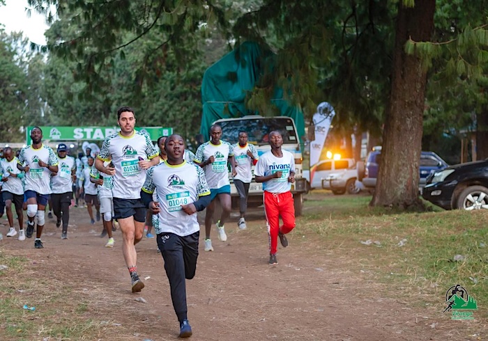 2 Virunga Gorilla 3899 scaled rl5edwx248cjfb78qv52r8r7fzphvb45l3c50e9is8