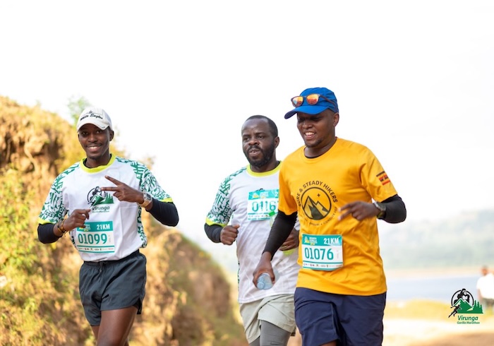 3Virunga Gorilla 4016 scaled rl5edwx248cjfb78qv52r8r7fzphvb45l3c50e9is8