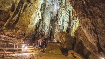 2le berceau de lhumanite un voyage dans le pleistocene sud africain