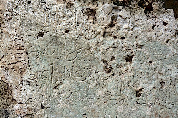 4 1000 667 20230306104109