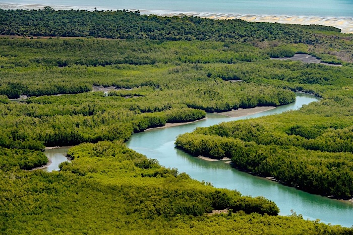 4 peche sportive guinee bissau bijagos 13 1140x7591