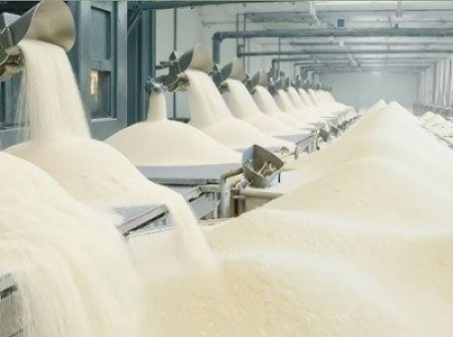 Na &Aacute;frica do Sul, uma batalha pela prote&ccedil;&atilde;o da ind&uacute;stria a&ccedil;ucareira