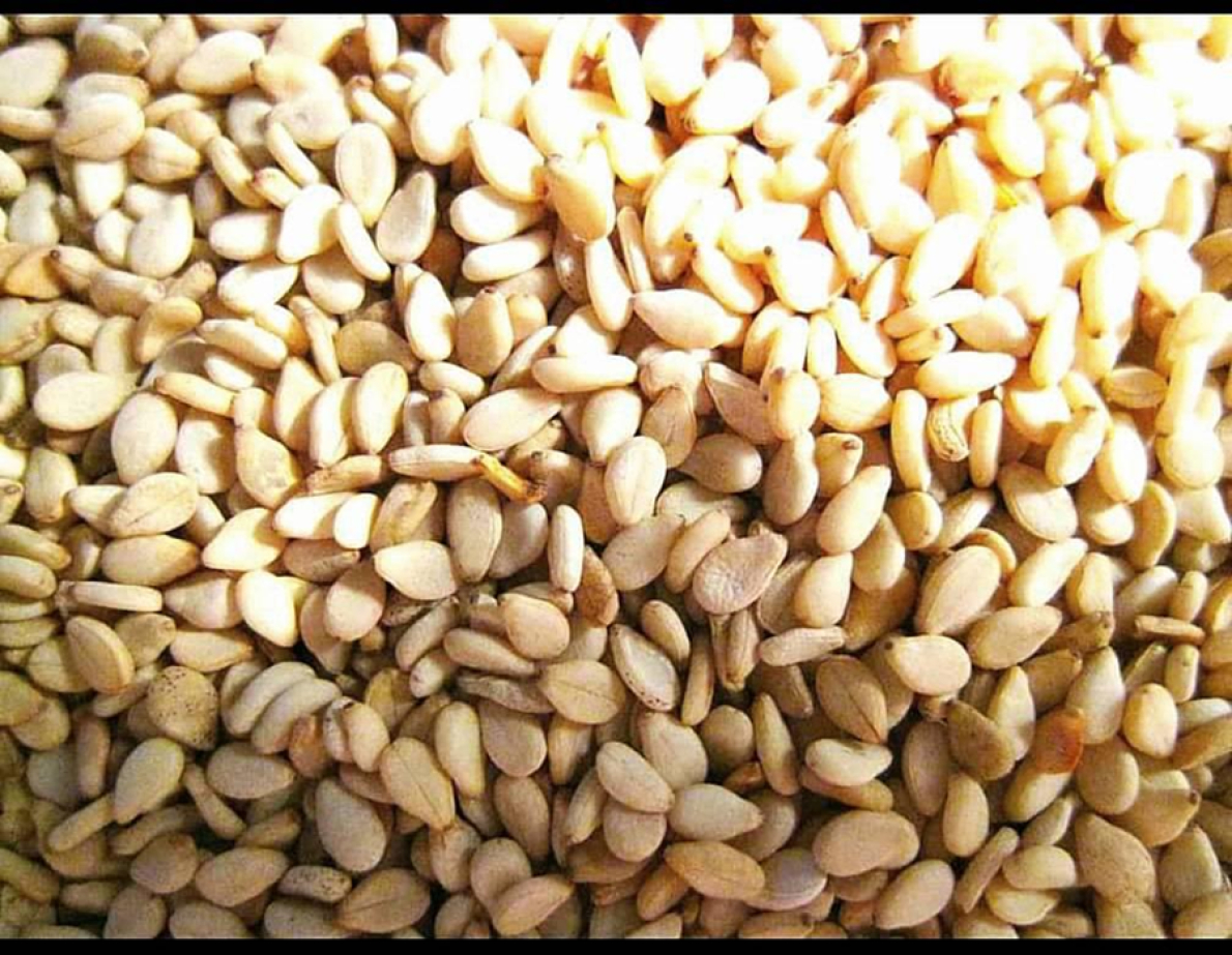 Nig&eacute;ria: Anunciada parceria p&uacute;blico-privada de $3 milh&otilde;es no setor de gergelim em Nasarawa