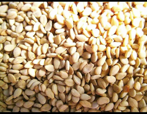 Nig&eacute;ria: Anunciada parceria p&uacute;blico-privada de $3 milh&otilde;es no setor de gergelim em Nasarawa