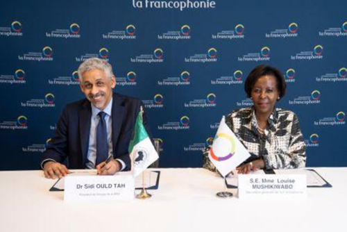 cinco-paises-africanos-beneficiam-de-um-programa-digital-lancado-pela-oif-e-pelo-bad