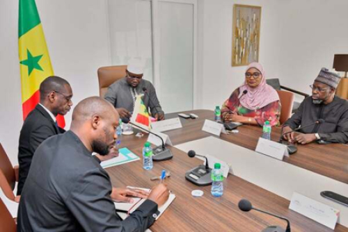 Senegal: o que mudar&aacute; com a reforma constitucional promovida pelo Pastef
