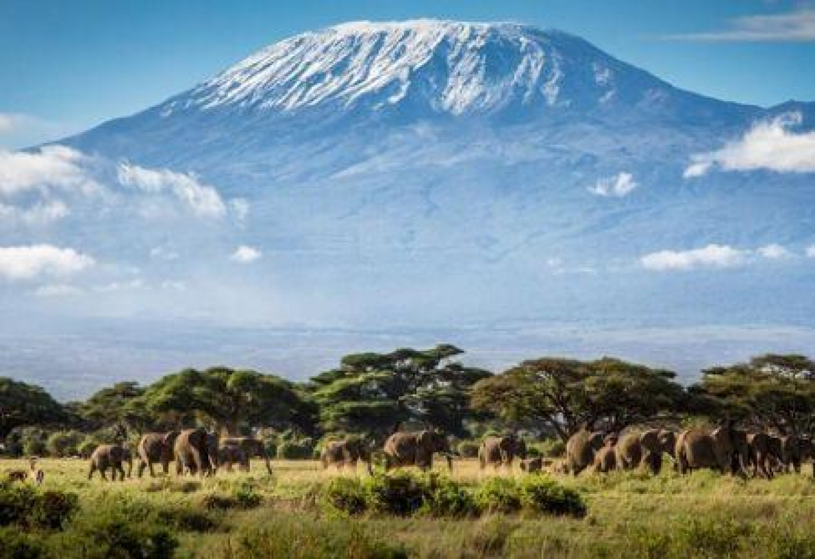 Turismo na &Aacute;frica Oriental: o Qu&eacute;nia consolida a sua lideran&ccedil;a face &agrave; Tanz&acirc;nia em 2025