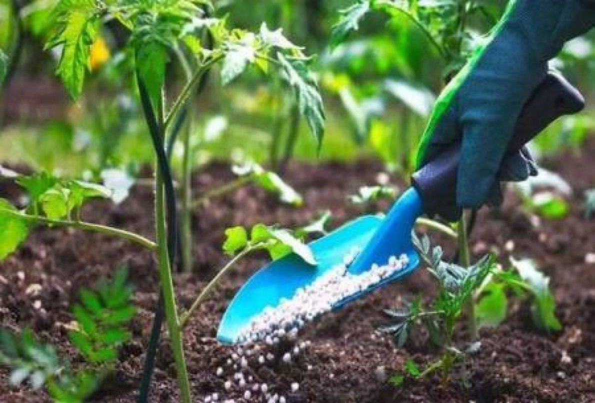 Os EUA est&atilde;o a negociar com o Marrocos para assegurar os seus abastecimentos de fertilizantes