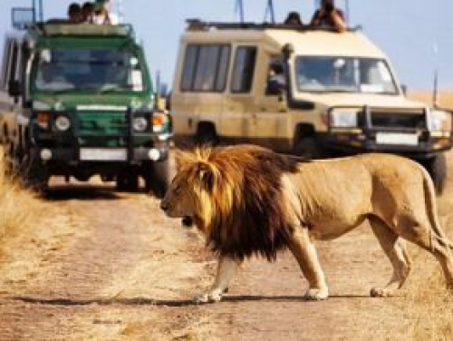 No Qu&eacute;nia, 2025 foi um ano recorde para as receitas do turismo