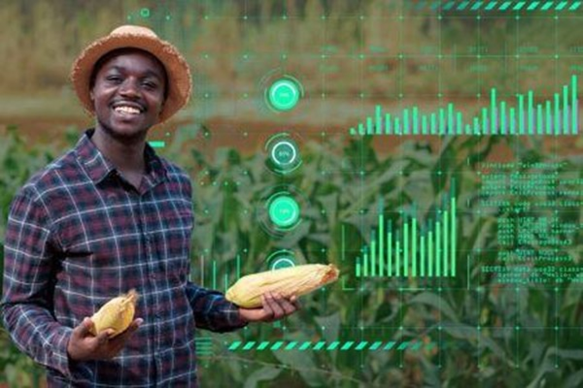 Como tornar-se analista de dados AgriTech, uma profiss&atilde;o estrat&eacute;gica na era digital