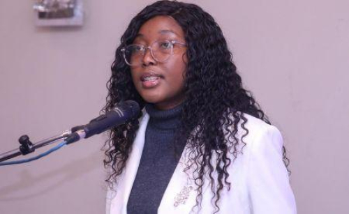 Nam&iacute;bia faz apelo para conscientiza&ccedil;&atilde;o do p&uacute;blico sobre o crescimento da IA