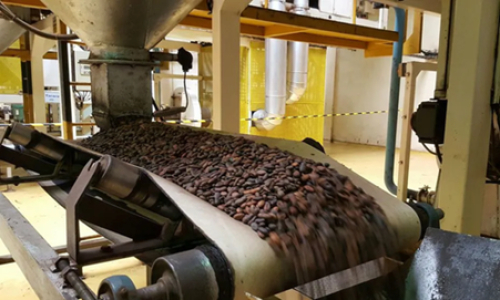 Camar&otilde;es: Africa Processing inaugura segunda f&aacute;brica de transforma&ccedil;&atilde;o de cacau na regi&atilde;o do Leste