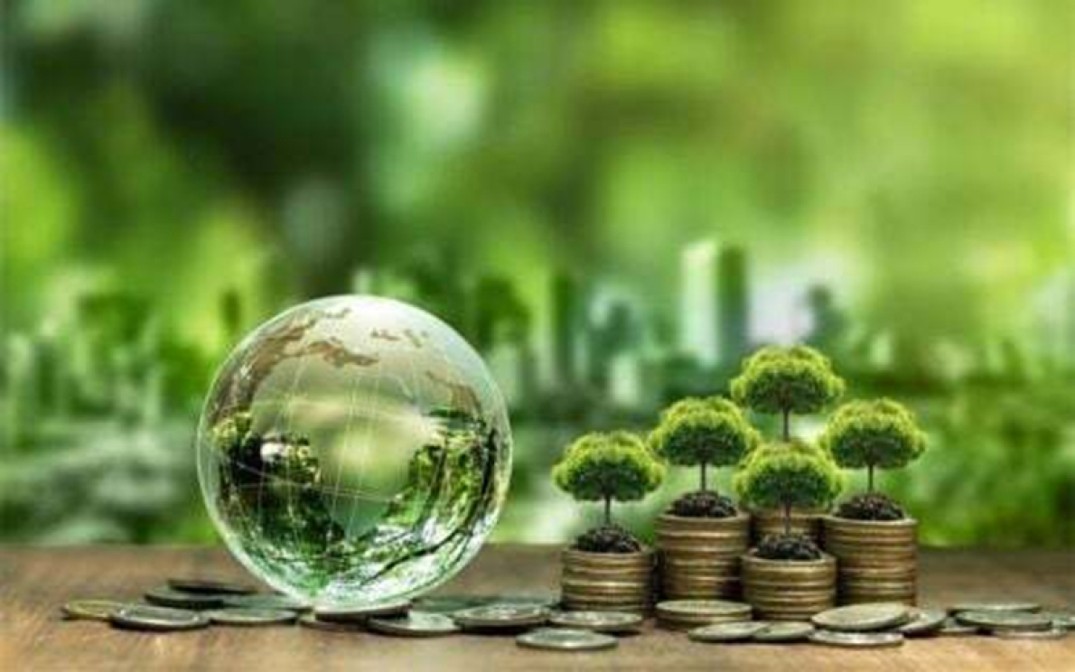 Tr&ecirc;s pa&iacute;ses africanos negociam acordos d&iacute;vida-natureza para a prote&ccedil;&atilde;o do meio ambiente