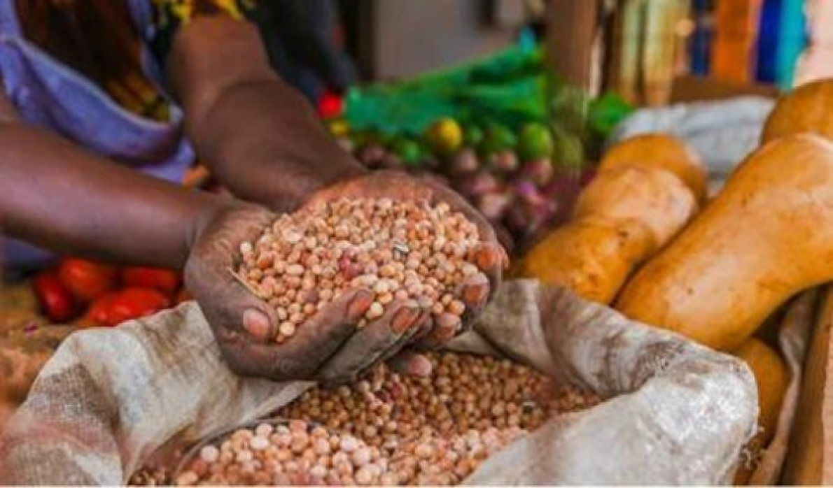 Scaf II, um fundo gerido pela Sahel Capital, fecha primeira ronda com objetivo de financiar empresas agroalimentares na &Aacute;frica Ocidental