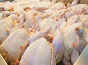O frango brasileiro ganha terreno em &Aacute;frica, com um aumento de 74 % das importa&ccedil;&otilde;es em cinco anos