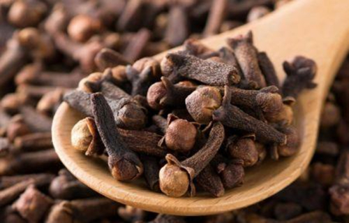 A Nig&eacute;ria quer lan&ccedil;ar-se no cultivo de cravinho-da-&iacute;ndia em grande escala