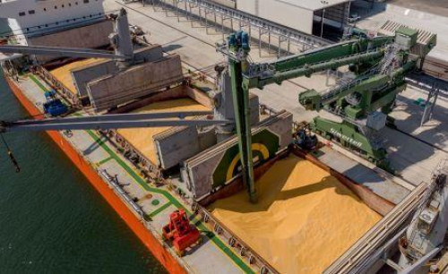 Egito: Comprador p&uacute;blico Mostakbal Misr adquire 500.000 toneladas de trigo do Mar Negro