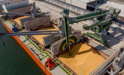 Egito: Comprador p&uacute;blico Mostakbal Misr adquire 500.000 toneladas de trigo do Mar Negro