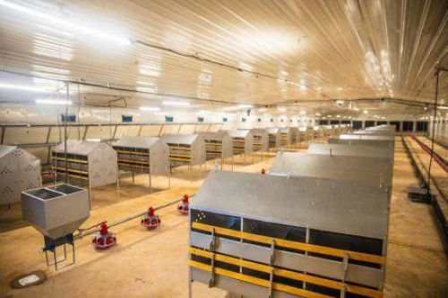 Burkina Faso: uma granja av&iacute;cola de 1 milh&atilde;o de d&oacute;lares entra em opera&ccedil;&atilde;o em Bobo-Dioulasso