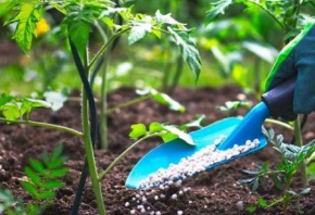 Preços dos fertilizantes deverão subir mais de 30% em 2026 (Banco Mundial)