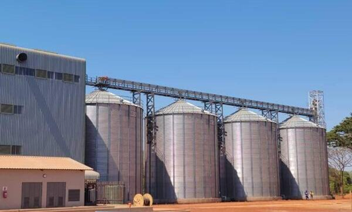 Senegal: A ind&uacute;stria de moagem se refor&ccedil;a com o aumento da demanda por trigo