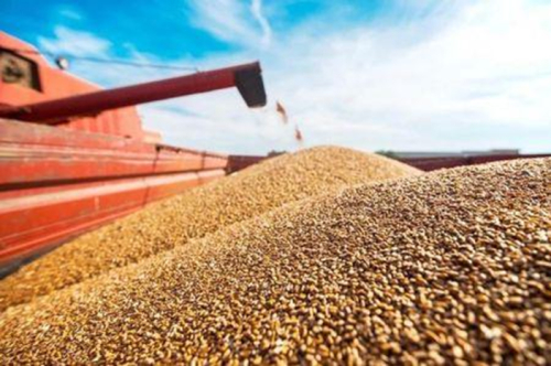 Importa&ccedil;&otilde;es de produtos agr&iacute;colas franceses: a &Aacute;frica subsaariana ultrapassa a &Aacute;frica do Norte em 2025
