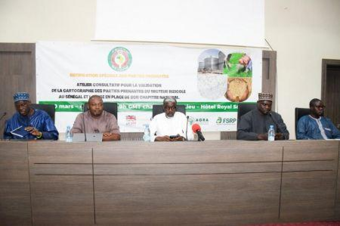 O Senegal quer melhorar a governa&ccedil;&atilde;o da sua cadeia do arroz com o apoio da CEDEAO