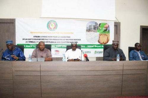 o-senegal-quer-melhorar-a-governacao-da-sua-cadeia-do-arroz-com-o-apoio-da-cedeao