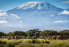 Turismo na &Aacute;frica Oriental: o Qu&eacute;nia consolida a sua lideran&ccedil;a face &agrave; Tanz&acirc;nia em 2025