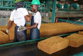 Com a sua borracha natural, a Costa do Marfim pode tornar-se um ator chave na indústria de pneus em África.