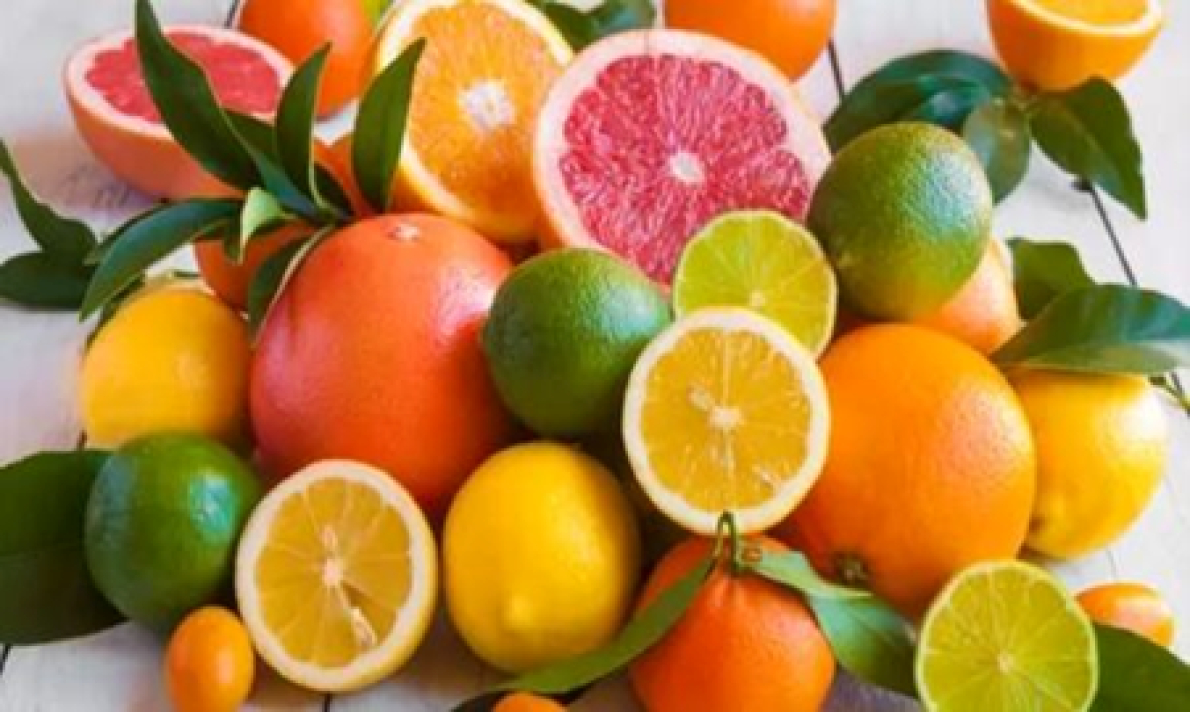 &Aacute;frica do Sul: setor de citrinos pretende novo recorde de exporta&ccedil;&otilde;es em 2026, mas enfrenta desafios geopol&iacute;ticos e log&iacute;sticos