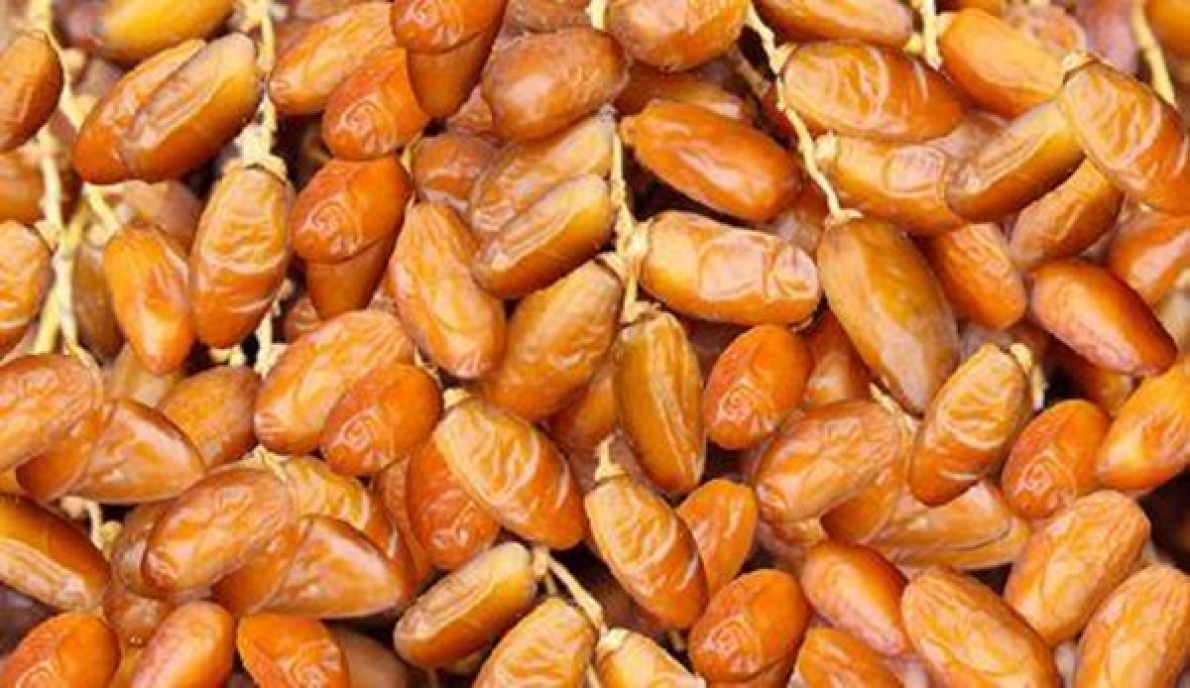 Tun&iacute;sia: a fileira das t&acirc;maras antecipa um recorde de produ&ccedil;&atilde;o para a campanha de 2025/2026