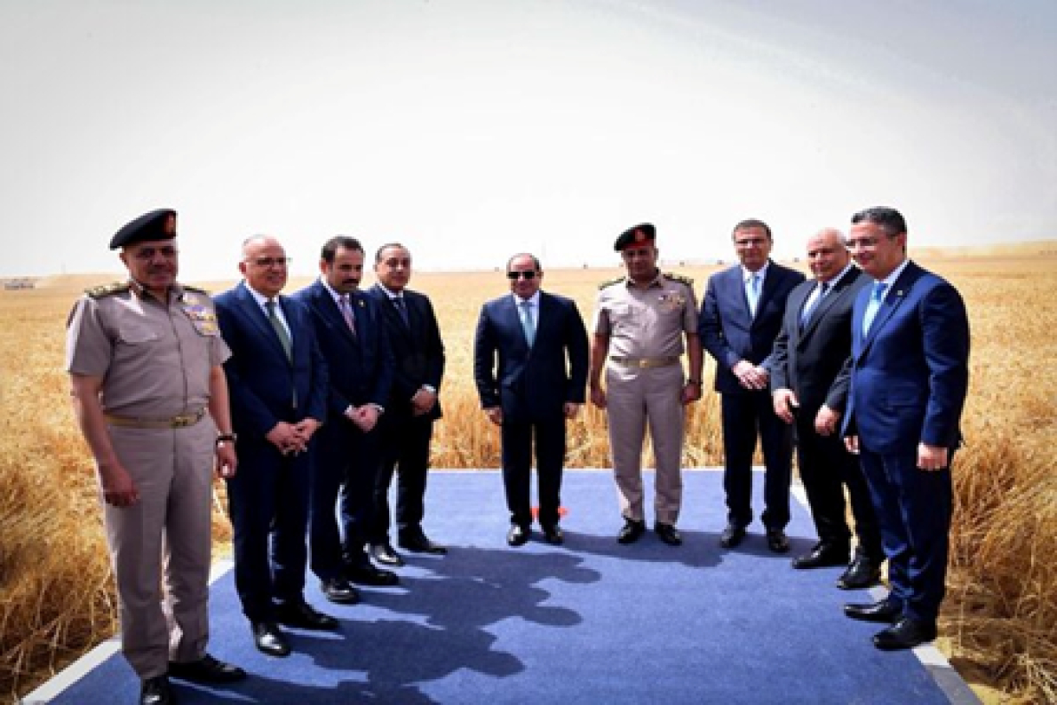 Egito expande agricultura no deserto com projeto de 15 mil milh&otilde;es de d&oacute;lares