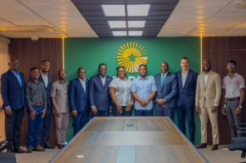 Ouro artesanal: Gana quer apoiar-se no Zimbabu&eacute; para refor&ccedil;ar a sua cadeia produtiva