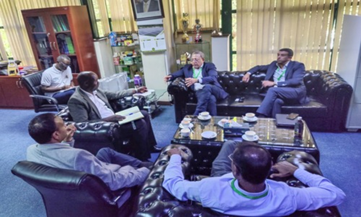 Qu&ecirc;nia visa o Marrocos para incrementar suas exporta&ccedil;&otilde;es de ch&aacute;