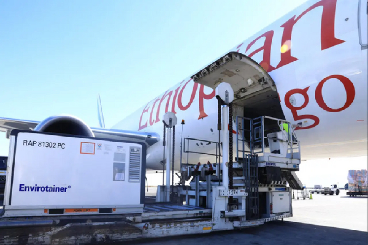 A Ethiopian Airlines refor&ccedil;a a sua frota de carga para se adaptar &agrave; crescente procura de transporte a&eacute;reo de mercadorias.