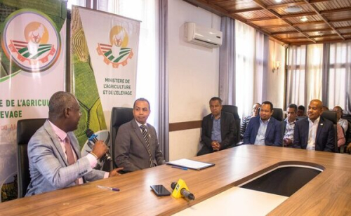 Madagascar: uma parceria p&uacute;blico-privada para expandir a rizicultura em 150.000 hectares