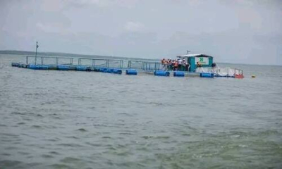 burkina-faso-a-aquicultura-em-gaiolas-flutuantes-ganha-terreno