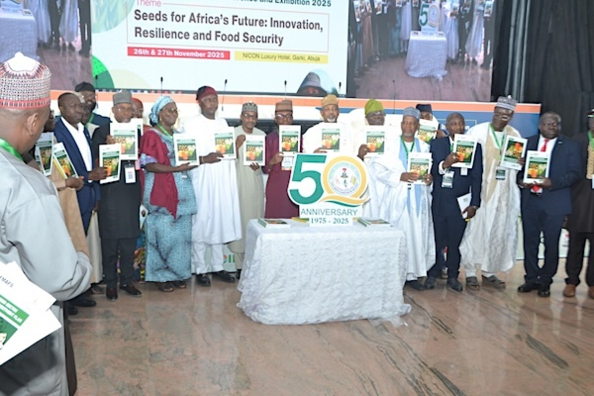 Nig&eacute;ria implementa nova estrat&eacute;gia de sementes para acelerar a produtividade agr&iacute;cola