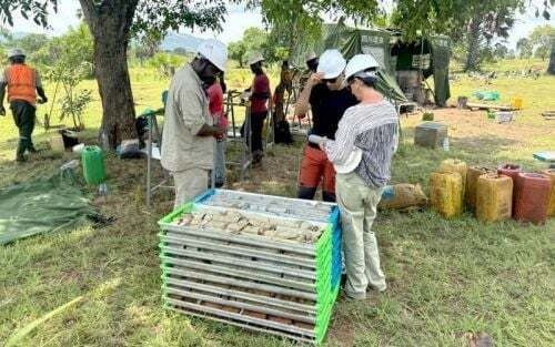 Ouro na Costa do Marfim: a Montage avan&ccedil;a para a aquisi&ccedil;&atilde;o da African Gold por 170 milh&otilde;es de d&oacute;lares
