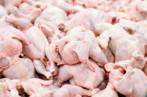 As importa&ccedil;&otilde;es africanas de carne de aves russa mais que duplicaram em 2025