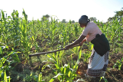o-gana-garante-um-financiamento-de-us-9-5-milhoes-da-coreia-para-o-setor-agroalimentar