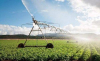 Marrocos visado por um programa americano de desenvolvimento agr&iacute;cola de 226 milh&otilde;es de d&oacute;lares