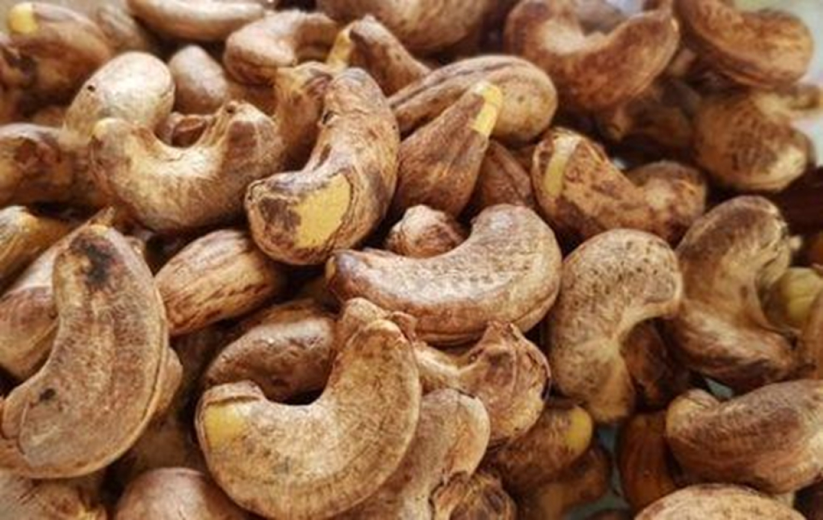 Costa do Marfim: as vendas de am&ecirc;ndoas de caju dever&atilde;o atingir 623 milh&otilde;es de d&oacute;lares em 2025