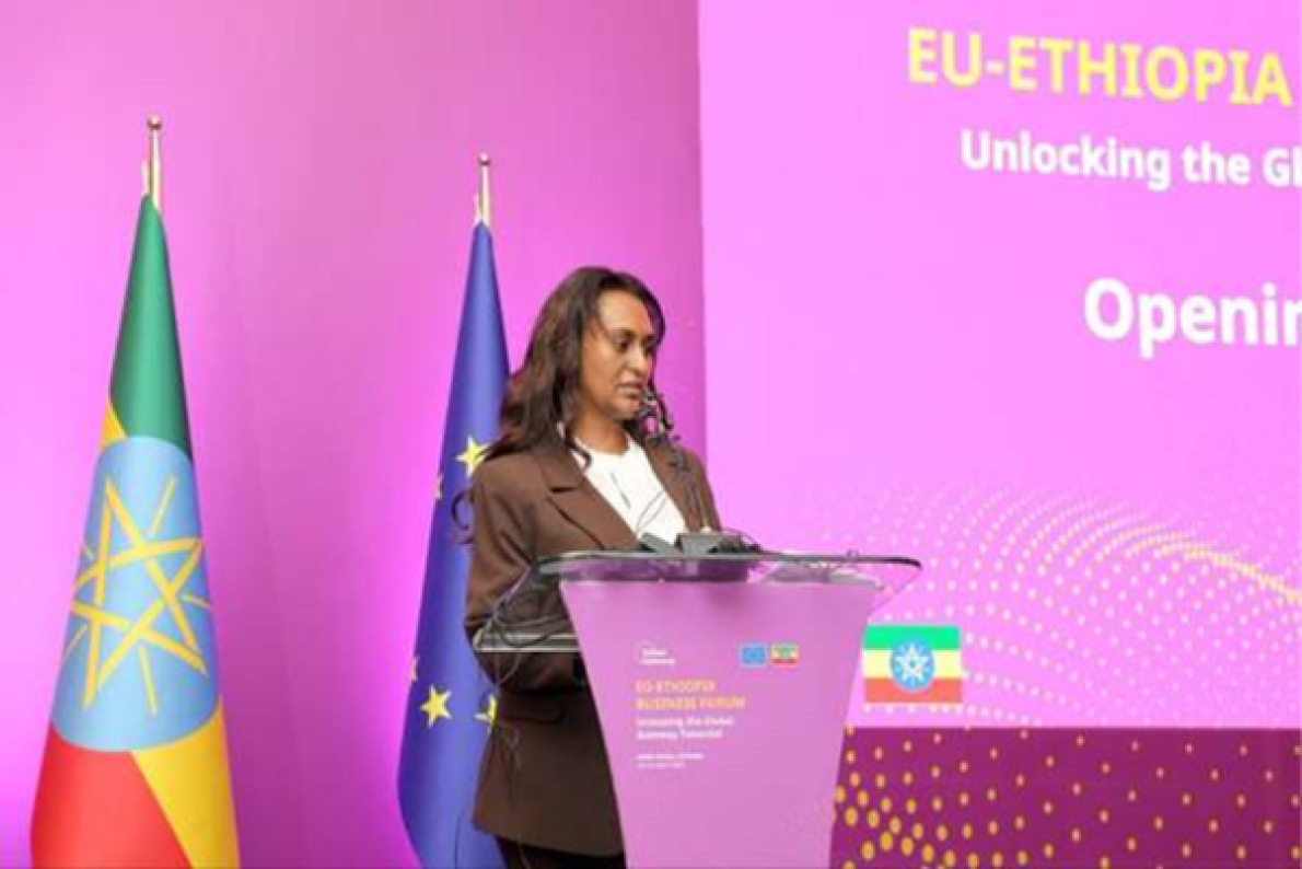 Eti&oacute;pia: a UE anuncia cerca de 660 milh&otilde;es de d&oacute;lares para a transforma&ccedil;&atilde;o energ&eacute;tica e digital