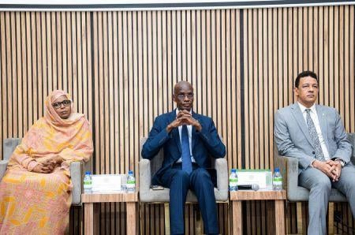 Sesmaterializa&ccedil;&atilde;o da administra&ccedil;&atilde;o: a Maurit&acirc;nia coloca 800 tr&acirc;mites