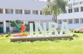 Marrocos quer refor&ccedil;ar a coopera&ccedil;&atilde;o com a Austr&aacute;lia na investiga&ccedil;&atilde;o agr&iacute;cola