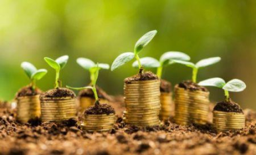 Persistent lan&ccedil;a um fundo de 70 milh&otilde;es de d&oacute;lares para start-ups clim&aacute;ticas africanas